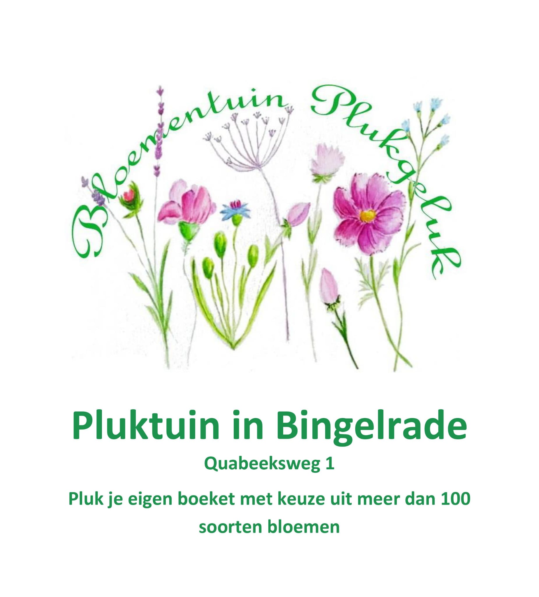 PlugGeluk in Bingelrade